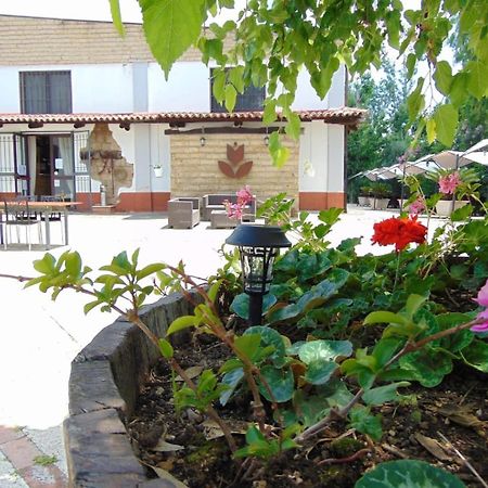 Casale Rurale Bed and Breakfast San Marco Evangelista Buitenkant foto