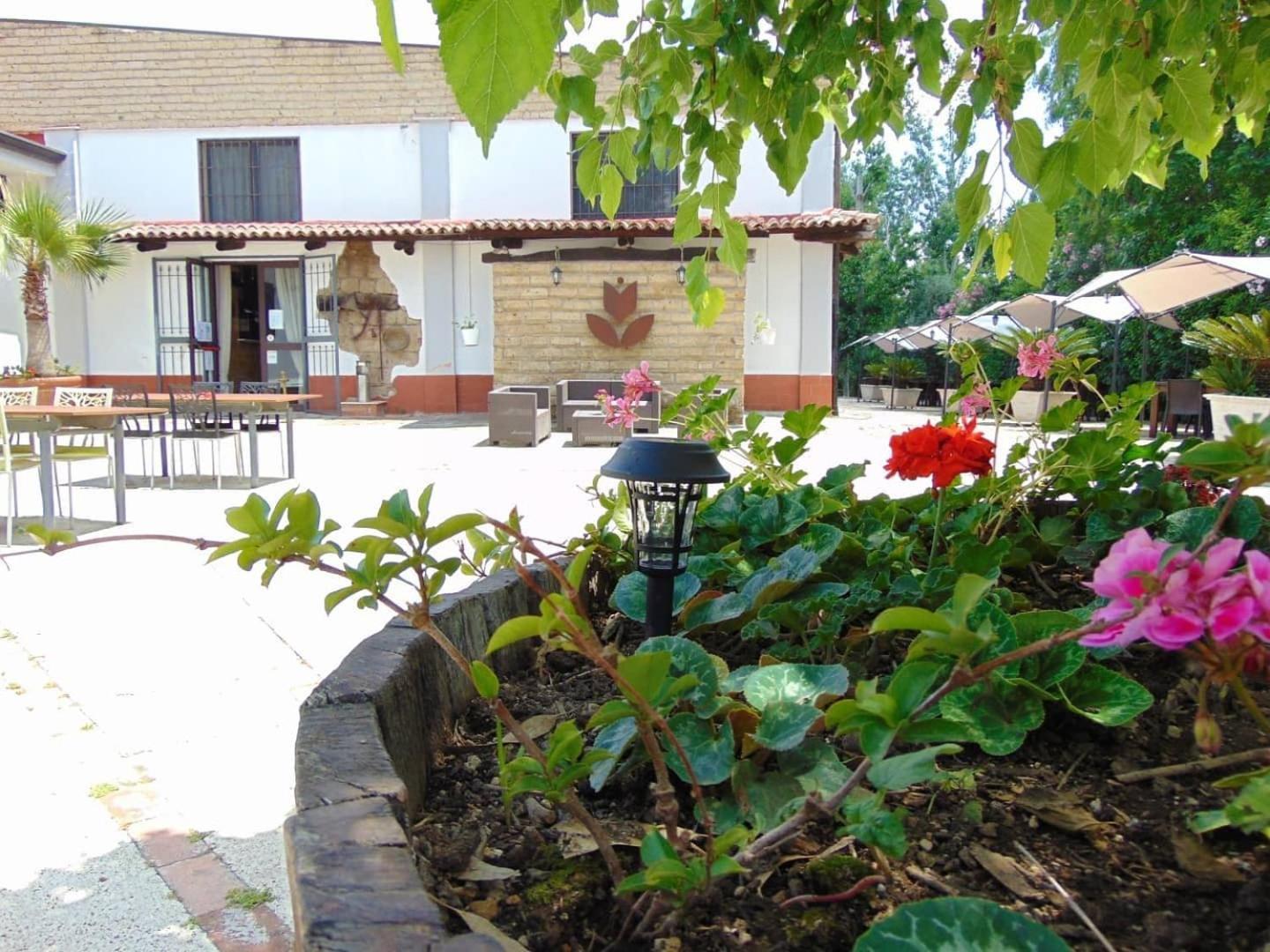 Casale Rurale Bed and Breakfast San Marco Evangelista Buitenkant foto