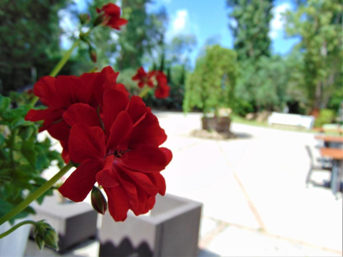 Casale Rurale Bed and Breakfast San Marco Evangelista Buitenkant foto