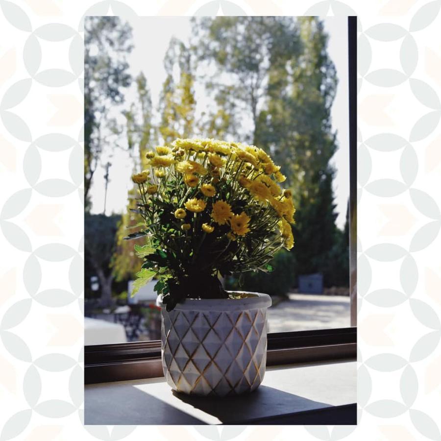 Casale Rurale Bed and Breakfast San Marco Evangelista Buitenkant foto