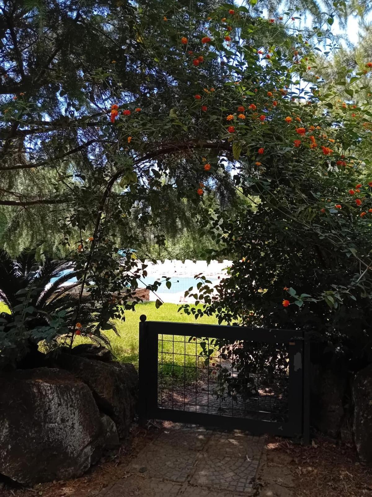 Casale Rurale Bed and Breakfast San Marco Evangelista Buitenkant foto