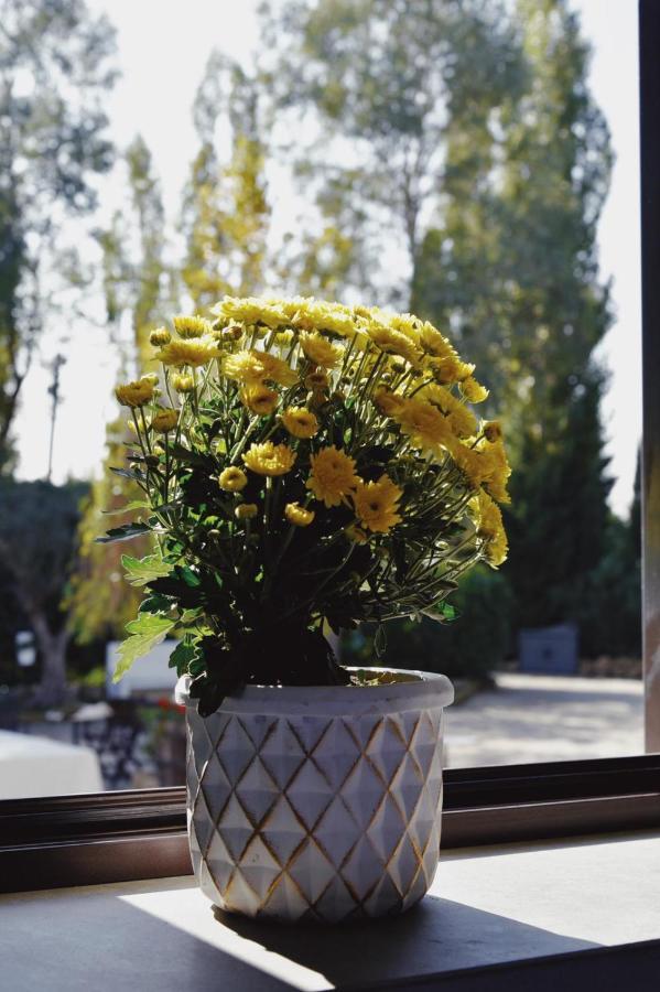 Casale Rurale Bed and Breakfast San Marco Evangelista Buitenkant foto